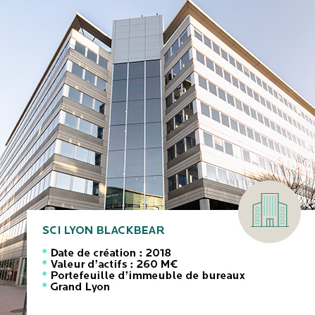 Investissement institutionnel SCI Lyon Blackbear